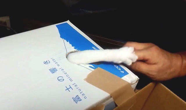 真實版《偷錢貓咪存錢筒》有了這個真心覺得這樣的遊戲會玩到上癮耶