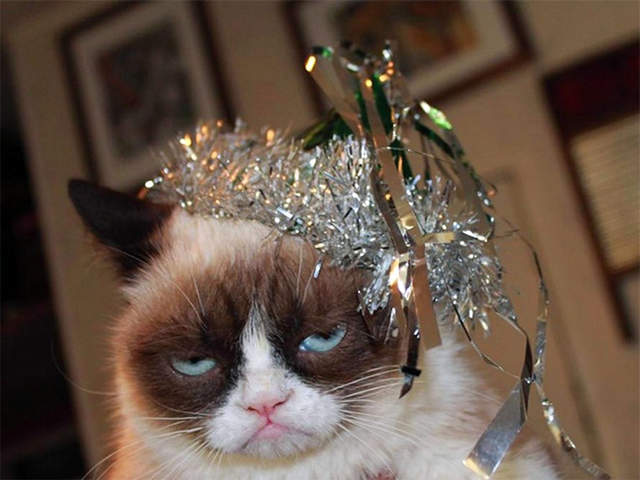 動物們也《不願意面對的星期一》這些表情完全是我們的寫照啊