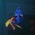 《海底總動員2：多莉去哪兒》網友呼籲：看完請不要去尋找多莉
