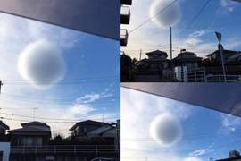 《日本發現奇妙圓球雲朵》你覺得像兔兔尾巴還是比熊犬的頭呢? 《日本發現奇妙圓球雲朵》你覺得像兔兔尾巴還是比熊犬的頭呢?
