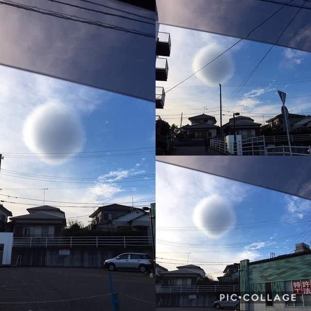 《日本發現奇妙圓球雲朵》你覺得像兔兔尾巴還是比熊犬的頭呢? 《日本發現奇妙圓球雲朵》你覺得像兔兔尾巴還是比熊犬的頭呢?