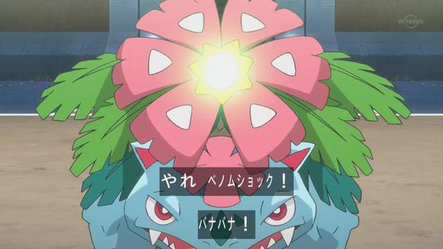 一定會看錯的《寶可夢妙蛙花冰袋》怎麼會長得這麼像……