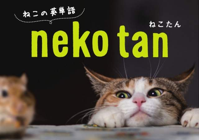 《貓咪英文單字》就讓朕來教你們人類學英文吧(｡･`ω´･)っ