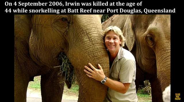 好可怕系列《五只不能公开的影片》连存不存在都没有人知道 - 图片10 好可怕系列《五只不能公开的影片》连存不存在都没有人知道