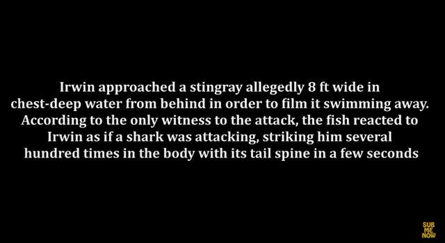 好可怕系列《五只不能公开的影片》连存不存在都没有人知道 - 图片11 好可怕系列《五只不能公开的影片》连存不存在都没有人知道