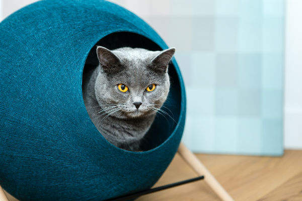 超時尚《Meyou貓屋》好躺好窩又好抓ΦᴗΦ 超時尚《Meyou貓屋》好躺好窩又好抓ΦᴗΦ