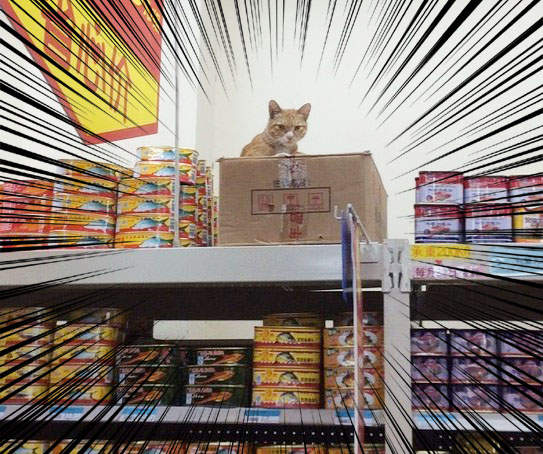 《在大陸生活的日本人》住了一段時間下來紀錄了非常多有趣的照片 《在大陸生活的日本人》住了一段時間下來紀錄了非常多有趣的照片