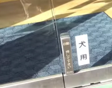 熊本縣《狗狗專用自動門按鈕》汪星人警衛會幫你開門哦~♥ 熊本縣《狗狗專用自動門按鈕》汪星人警衛會幫你開門哦~♥