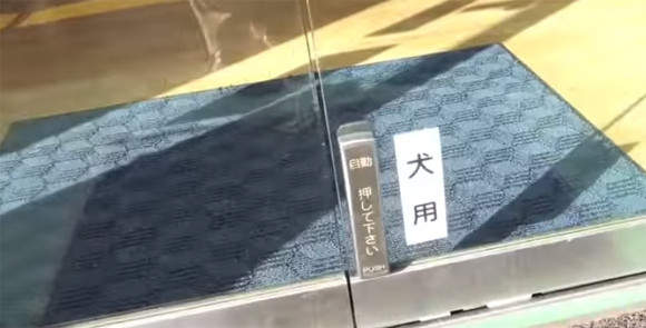 熊本縣《狗狗專用自動門按鈕》汪星人警衛會幫你開門哦～♥