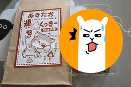 日本《秋田犬狗屎幸運餅乾》吃了就會有黃金狗屎運(笑) 日本《秋田犬狗屎幸運餅乾》吃了就會有黃金狗屎運(笑)