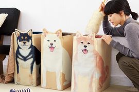 《柴犬收納盒》三隻柴柴幫你收好排排坐 《柴犬收納盒》三隻柴柴幫你收好排排坐