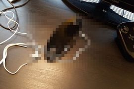 任天堂下一代主機《NX》手把照片流出!? 任天堂下一代主機《NX》手把照片流出!?