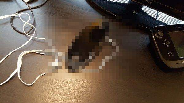 任天堂下一代主機《NX》手把照片流出!? 任天堂下一代主機《NX》手把照片流出!?