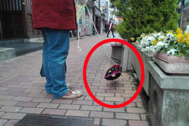 日本街頭《透明犬》出沒 明明聽見叫聲卻看不見狗狗蹤影!? 日本街頭《透明犬》出沒 明明聽見叫聲卻看不見狗狗蹤影!?