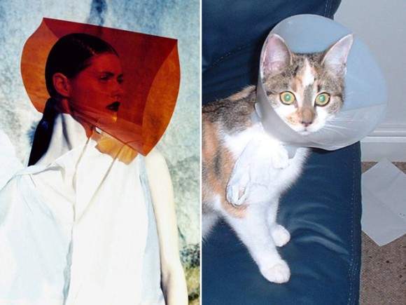 《貓咪VS.模特兒》貓咪與人類的擺POSE大對決