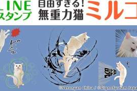 《無視重力大白貓》推出LINE貼圖 聊天也無法停止美妙的跳躍~✧ 《無視重力大白貓》推出LINE貼圖 聊天也無法停止美妙的跳躍~✧