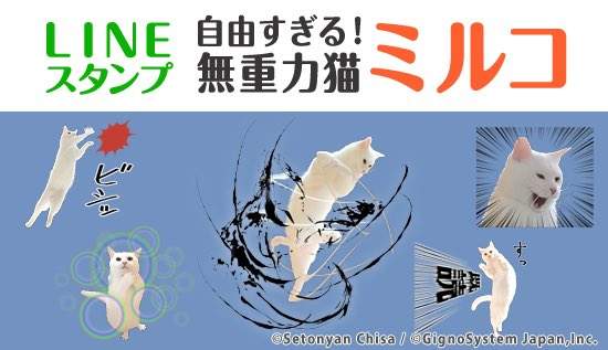 《無視重力大白貓》推出LINE貼圖 聊天也無法停止美妙的跳躍~✧ 《無視重力大白貓》推出LINE貼圖 聊天也無法停止美妙的跳躍~✧