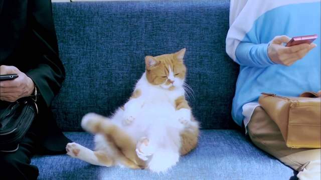 《如何搭電車也能看性格》車上都是空位的時候你會坐哪裡呢? 《如何搭電車也能看性格》車上都是空位的時候你會坐哪裡呢?