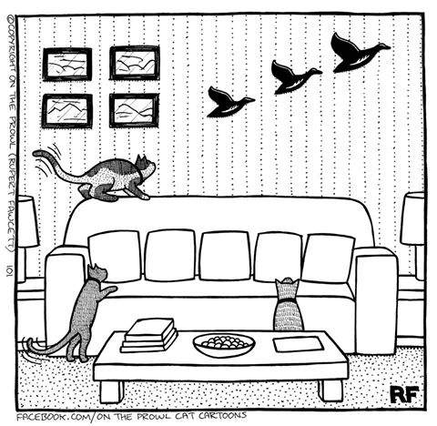 《On The Prowl》貓奴才懂箇中辛酸的網路漫畫