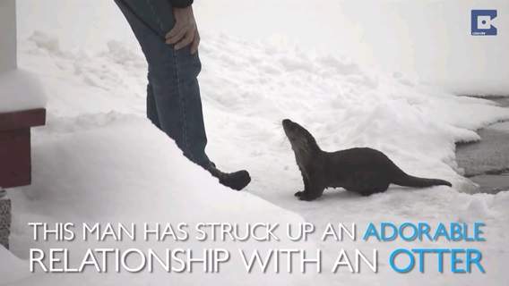 《水獺與老爺爺》冰天雪地裡的兩位好朋友♥