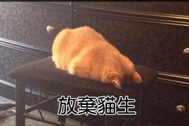 Snapchat《搞笑貓咪設計對白》有趣畫面一定要永流傳啊~ Snapchat《搞笑貓咪設計對白》有趣畫面一定要永流傳啊~