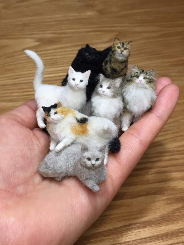 《迷你動物羊毛氈》只比硬幣大一點貓咪一掌可以握幾隻呢?♥ 《迷你動物羊毛氈》只比硬幣大一點貓咪一掌可以握幾隻呢?♥