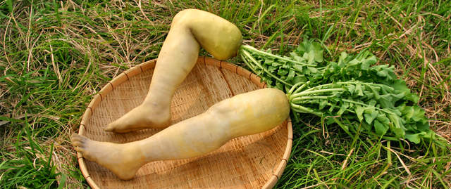 《鬼壓床的恐怖經驗》鬼有一雙蘿蔔腿?而且心靈還很脆弱…… 《鬼壓床的恐怖經驗》鬼有一雙蘿蔔腿?而且心靈還很脆弱……