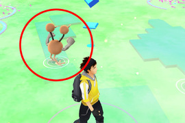 Pokemon GO《精靈寶可夢融合術》各種奇妙的新品種誕生中XD Pokemon GO《精靈寶可夢融合術》各種奇妙的新品種誕生中XD