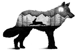 《動物奇幻點畫》用一隻黑筆就可以點出動物身上的小宇宙 《動物奇幻點畫》用一隻黑筆就可以點出動物身上的小宇宙