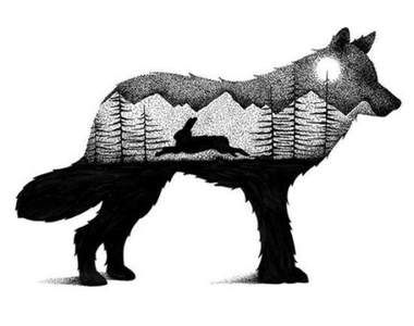 《動物奇幻點畫》用一隻黑筆就可以點出動物身上的小宇宙 《動物奇幻點畫》用一隻黑筆就可以點出動物身上的小宇宙