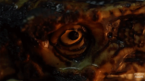 《物品加热熔解缩时摄影》整个影片充满浓浓的烧塑胶味... - 图片6 《物品加热熔解缩时摄影》整个影片充满浓浓的烧塑胶味...