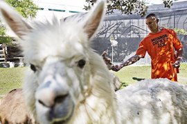 全美唯一《監獄動物保護區》讓犯人們感覺到自己也是被需要的 全美唯一《監獄動物保護區》讓犯人們感覺到自己也是被需要的
