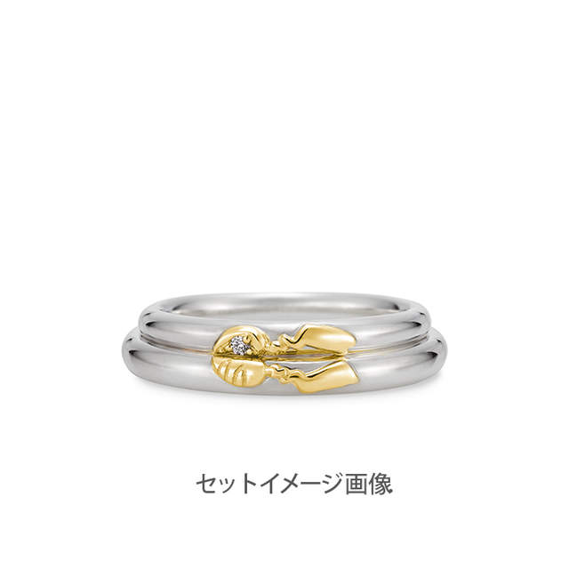 超萌《精灵宝可梦戒指》快拿来当诱饵娶个老婆回家啦~ - 图片10 超萌《精灵宝可梦戒指》快拿来当诱饵娶个老婆回家啦~