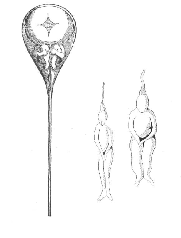 《寄宿在人體裡的10種奇妙東西》解剖學盛行之前的人體學說真是神秘
