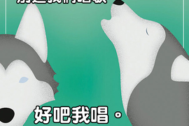 《12種誠實狗狗標語》你還陷入在犬種迷思嗎? 《12種誠實狗狗標語》你還陷入在犬種迷思嗎?