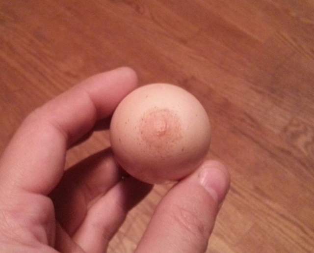 《日常生活的不思議瞬間》我竟然看到奶頭雞蛋......?(揉眼) 《日常生活的不思議瞬間》我竟然看到奶頭雞蛋......?(揉眼)