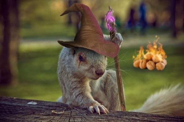 网友力拼《松鼠PS大战》没有狂只有更狂的改图就此诞生 - 图片7 网友力拼《松鼠PS大战》没有狂只有更狂的改图就此诞生