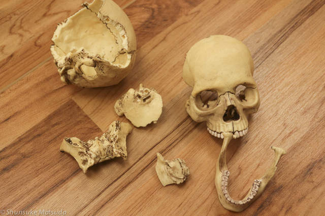 《麥當勞人骨拼圖事件簿》帶骷顱頭來吃麥當當或許才是最無解的謎...