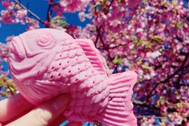 粉粉嫩嫩的《櫻花鯛魚燒》看的我口水都要留下來惹 粉粉嫩嫩的《櫻花鯛魚燒》看的我口水都要留下來惹