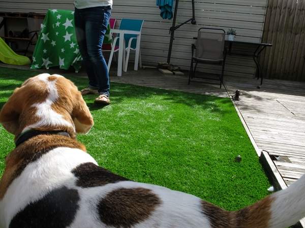 攝影師《給一歲半的兒子玩類單眼相機》究竟小朋友會拍出什麼樣的照片呢？ - 圖片6