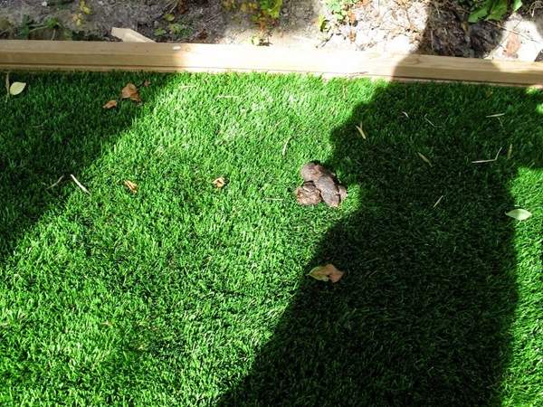 攝影師《給一歲半的兒子玩類單眼相機》究竟小朋友會拍出什麼樣的照片呢？ - 圖片13