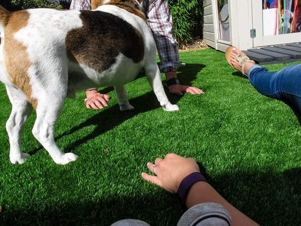 攝影師《給一歲半的兒子玩類單眼相機》究竟小朋友會拍出什麼樣的照片呢？ - 圖片16