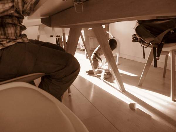 攝影師《給一歲半的兒子玩類單眼相機》究竟小朋友會拍出什麼樣的照片呢？ - 圖片18