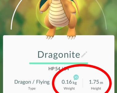 Pokemon Go《精靈寶可夢的身高體重》如果照比例畫出來的話會是... Pokemon Go《精靈寶可夢的身高體重》如果照比例畫出來的話會是...