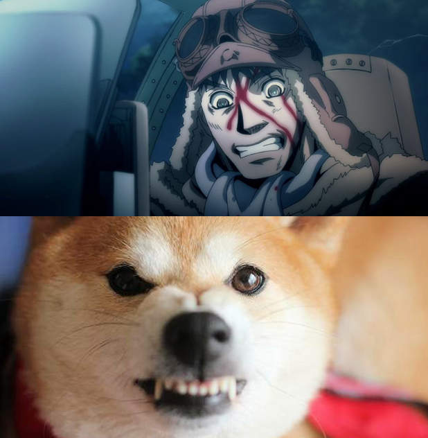 漂流武士《菅野直vs.柴犬》人家明明是空中的狂犬啊混帳東西ww