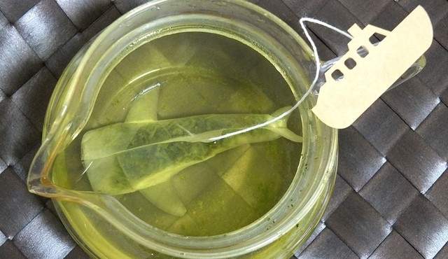 《会流血的鲨鱼茶包》等等我不敢喝血阿...... - 图片13 《会流血的鲨鱼茶包》等等我不敢喝血阿......