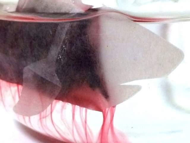 《会流血的鲨鱼茶包》等等我不敢喝血阿...... - 图片4 《会流血的鲨鱼茶包》等等我不敢喝血阿......