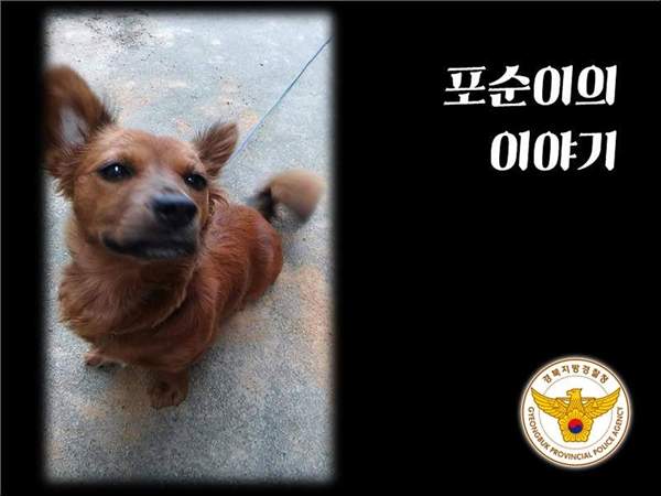 韓國《警局前被遺棄的狗》暖心結局呼籲大家請勿拋棄家人