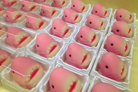 兒童節限定《粉色鯊魚生菓子》命運就是愛捉弄人啊(?) 兒童節限定《粉色鯊魚生菓子》命運就是愛捉弄人啊(?)