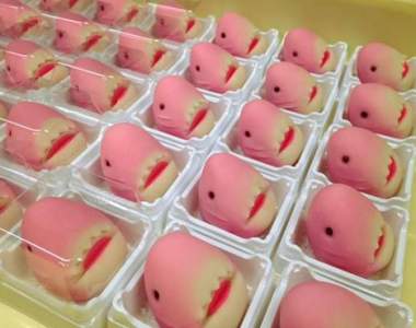 兒童節限定《粉色鯊魚生菓子》命運就是愛捉弄人啊(?) 兒童節限定《粉色鯊魚生菓子》命運就是愛捉弄人啊(?)